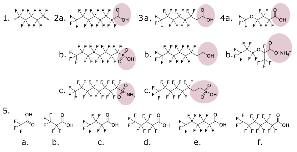 Representative PFAS chemical structures and classes Diagram showing examples of PFAS structures highlighting functional groups used to classify different PFAS compounds.