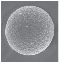 Porous Graphitic Carbon (PGC) Microscopic view of porous graphitic carbon (PGC) particle