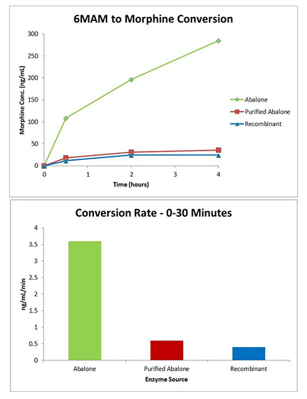 recombinant-gus-comparison recombinant-gus-comparison