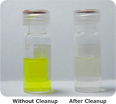 Turmeric Extracts Turmeric Extracts