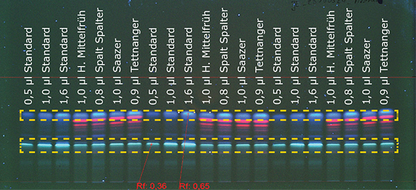 Detection of aromatic Figure 1a: Detection of aromatic hop at 366 nm