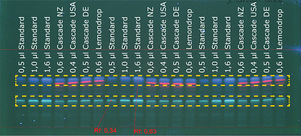 Detection of cascade Figure 1b: Detection of cascade hop at 366 nm