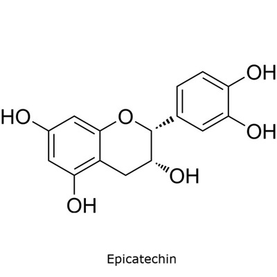 Epicatechin Structural diagram of epicatechin showing a flavanol core with multiple hydroxyl groups.