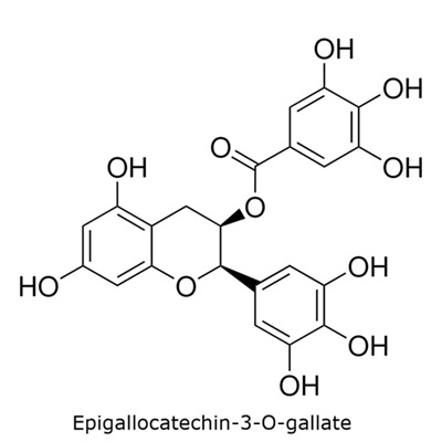 Epigallocatechin-3-O-gallate Structural diagram of epigallocatechin-3-O-gallate with a gallate ester and multiple hydroxyl substituents.