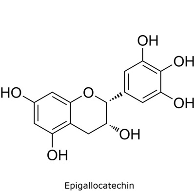 Epigallocatechin Structural diagram of epigallocatechin showing a trihydroxylated phenyl ring and the flavanol skeleton.