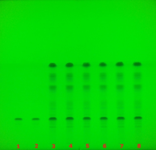 TLC chromatogram for glycyrrhizzic acid under UV 254 nm TLC plate under 254 nm UV showing multiple lanes with glycyrrhizic acid bands for sample identification.