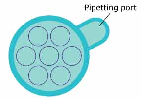 Millicell® Microwell plate pipetting port Schematic of the pipetting port in Millicell<sup>®</sup> Microwell plate