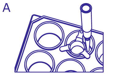 Replacing Media Using Inserts From above, pipette enters the well to the side of insert within the same well to remove the media in the well without disturbing the cells or media within the insert
