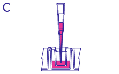 Replacing Media Within the Insert From the side, pipette filled with media is in the hanging insert within the culture. The pipette fills the insert with media to reach the same volume as the media within the well.