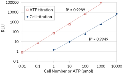 ATP cell viability assay. Firefly luciferase’s use of ATP to oxidize D-Luciferin and the resulting production of light in order to assess the amount of ATP available that correlates to cell number and viability. ATP cell viability assay. Firefly luciferase’s use of ATP to oxidize D-Luciferin and the resulting production of light in order to assess the amount of ATP available that correlates to cell number and viability.
