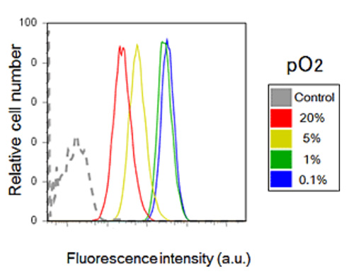 hypoxia-detection-using-flow-cytometry Hypoxia detection using flow cytometry.