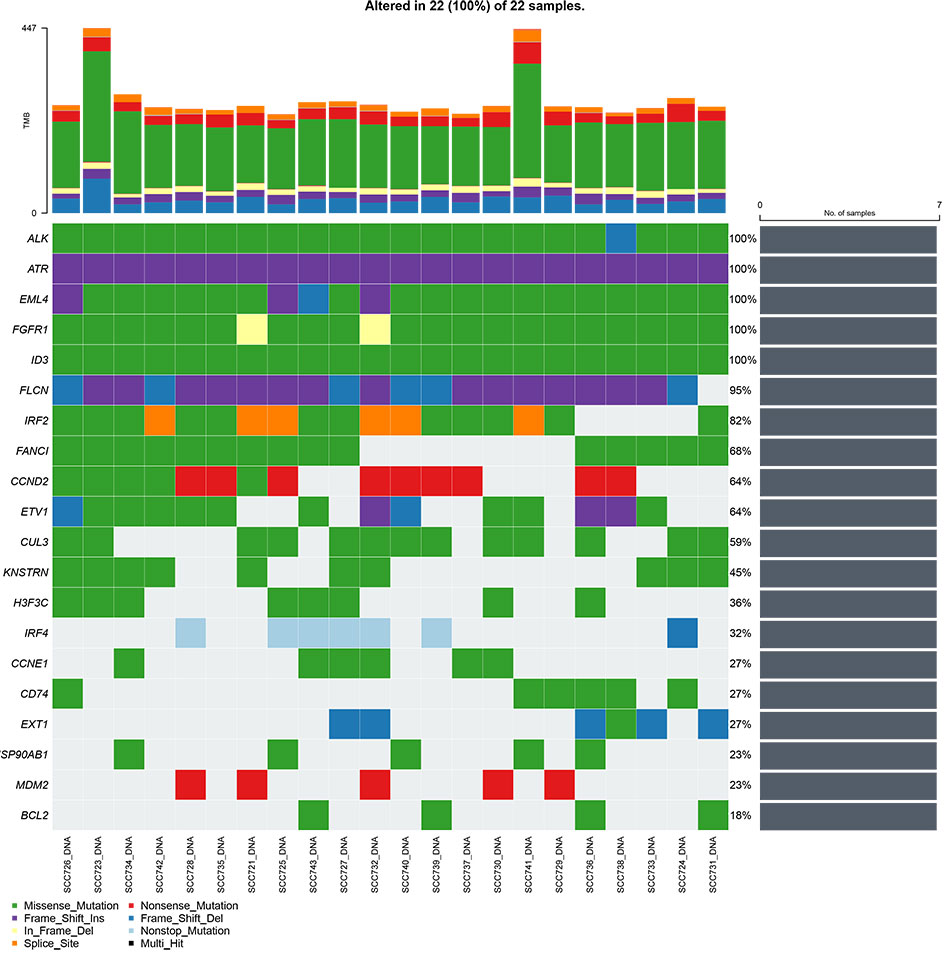 Gastrointestinal PDO biobank mutational profile oncoplot Chart with the mutation on the y axis and the organoid product number on the x axis. Different colors represent different mutation types.