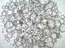 prep-87-c prep-87-c