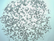 prep-881-cr prep-881-cr