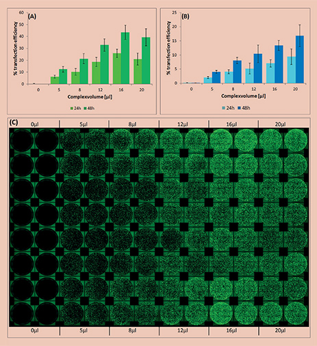 Analysis of transfection efficiency in the automated workflow Analysis of transfection efficiency in the automated workflow