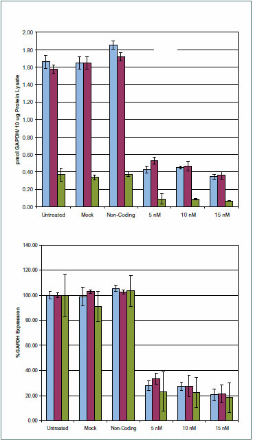 GAPDH protein expression levels from HeLa cell transfections GAPDH protein expression levels from HeLa cell transfections