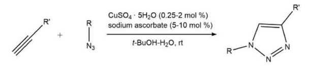 Copper-catalyzed azide-alkyne cycloaddition reaction (CuAAC) Reaction scheme shows Cu-catalyzed azide–alkyne cycloaddition forming a 1,4-disubstituted triazole in t-BuOH/H₂O with CuSO₄ and sodium ascorbate.