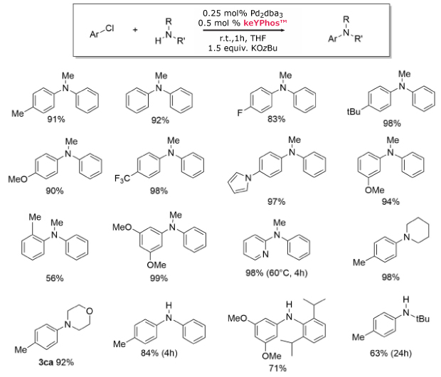 Buchwald-Hartwig amination with keYPhos™ Black and white image displays a reaction scheme using keYPhos™ and Pd₂dba₃ for C–N coupling, with 20 diverse aryl amine products and their yields.