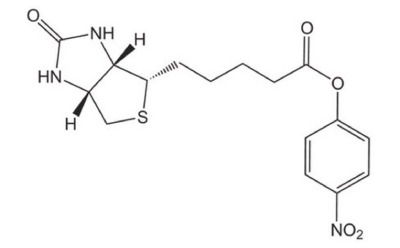 Biotinylation Reagents Black-and-white structure of biotin-ONp featuring a bicyclic core connected to a para-nitrophenyl group with a nitro substituent via a carbon chain.