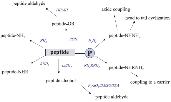 Hydroxymethylbenzoic acid (HMBA) is a useful and versatile benzyl ester derived linker Hydroxymethylbenzoic acid (HMBA) is a useful and versatile benzyl ester derived linker