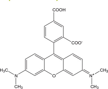 carboxytetramethyl Chemical structure of 5-Carboxytetramethylrhodamine