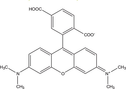 carboxytetramethylrhodamine Chemical structure of 6-Carboxytetramethylrhodamine