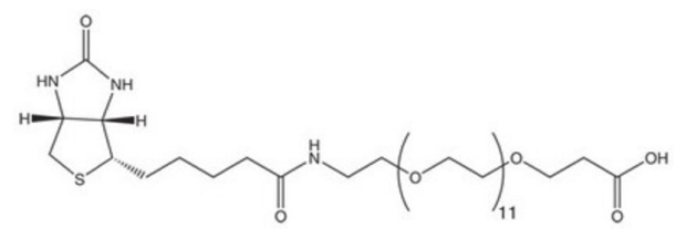 N-Biotinyl-NH-PEG11-COOH Black-and-white structure of N-Biotinyl-NH-PEG11-COOH showing bicyclic biotin core linked to an 11-unit PEG chain ending with a carboxylic acid group.