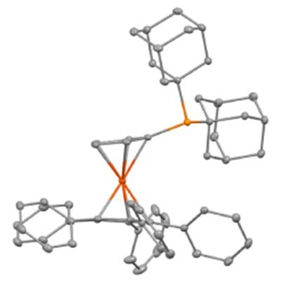 AdQPhos ball and stick structure A three-dimensional molecular structure featuring a central transition metal atom coordinated to multiple ligands. The structure includes several phenyl rings and bulky substituents, characteristic of a sterically demanding phosphine ligand. Two large ligands are connected through phosphorus atoms, each bonded to aromatic rings and additional substituents, creating a highly congested coordination environment. The metal center exhibits a square planar or distorted tetrahedral geometry, and it is bound to both phosphorus atoms and to two cyclopentadienyl-like rings that are nearly coplanar. The atomic bonds and elements are represented using ball-and-stick notation, with the metal-ligand bonds clearly highlighted.