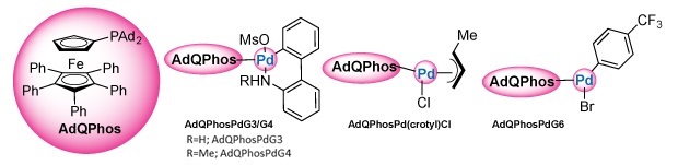 AdQPhos and its precatalysts The structure of the bulky biaryl phosphine ligand AdQPhos and its coordination to various palladium precatalysts. On the far left, AdQPhos is shown in a large circular highlight, featuring a ferrocene core with two cyclopentadienyl rings. One of the rings is substituted with multiple phenyl groups and a diphosphine side chain, including two bulky adamantyl groups. Moving to the right, three different palladium complexes are illustrated, each coordinated with the AdQPhos ligand. In the first complex, labeled AdQPhosPdG3/G4. In the second structure, labeled AdQPhosPd(crotyl)Cl, the palladium is bonded to a crotyl group and a chloride, forming an allylic complex. In the third structure, labeled AdQPhosPdG6, palladium is coordinated with a bromide and a trifluoromethylated phenyl moiety. In all complexes, the AdQPhos ligand and palladium centers are highlighted with pink ovals, and the Pd atoms themselves are colored blue, emphasizing their central catalytic role.