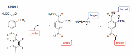 Nontraceless Staudinger ligation Nontraceless Staudinger ligation
