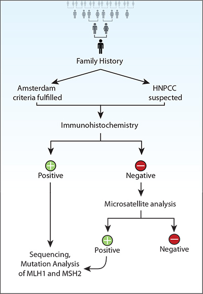 Recommendations for genetic screening for hereditary nonpolyposis colorectal cancer (HNPCC) Recommendations for genetic screening for hereditary nonpolyposis colorectal cancer (HNPCC)