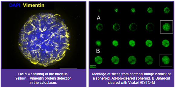 Visikol® HISTO™ and HISTO-M™ Tissue Clearing Reagents