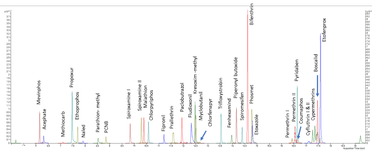 MRM extracted chromatogram of GC-MS/MS amenable pesticides in the California list - Standard at 200 ppb MRM extracted chromatogram of GC-MS/MS amenable pesticides in the California list - Standard at 200 ppb