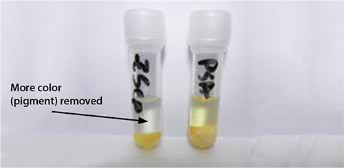 Visual Comparison of Extracts Cleaned using Z-Sep/ C18 Sorbent (left) and PSA Sorbent Visual Comparison of Extracts Cleaned using Z-Sep/ C18 Sorbent (left) and PSA Sorbent