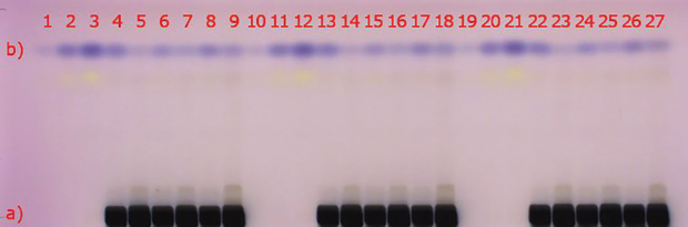 Visualization of the HPTLC plate under visible light (white light) Visualization of the HPTLC gel 60 F254 plate under visible light (white light); a) matrix compounds after staining with anisaldehyde sulfuric acid (black areas);b) 2-methylquinoxaline (blue spot at hRf 80), (reaction product of methylglyoxal with 1,2-phenylenediamine)