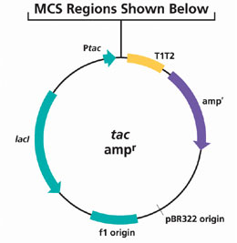 tacampr MCS Regions