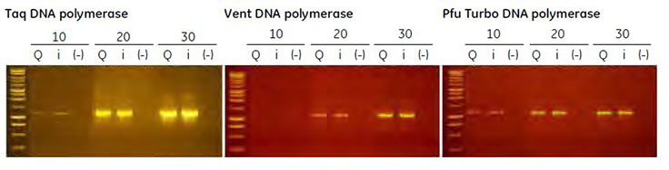 End-point PCR using several thermostable polymerases End-point PCR using several thermostable polymerases