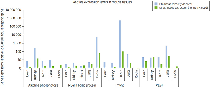 Relative gene expression compared to GAPDH for RNA isolated from different tissues collected on FTA cards (blue). Relative gene expression compared to GAPDH for RNA isolated from different tissues collected on FTA cards (blue).