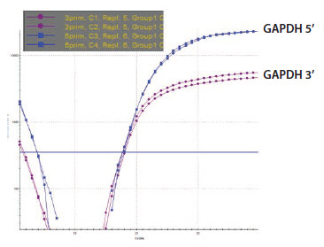 GAPDH 3’/5’ Multiplex Assay RNA Sample GAPDH 3’/5’ Multiplex Assay RNA Sample