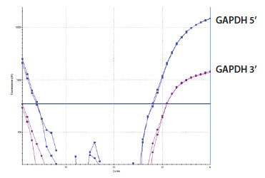 GAPDH 3’/5’ Multiplex Assay Sample D GAPDH 3’/5’ Multiplex Assay Sample D