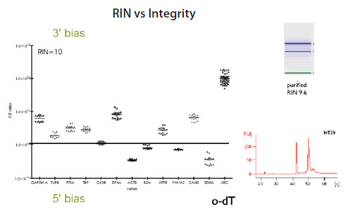 RNA Quality Determination RNA Quality Determination