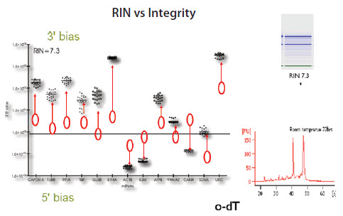 RNA samples from HT29 cells with RIN approximately 7 RNA samples from HT29 cells with RIN approximately 7