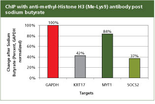 anti-methyl-histone anti-methyl-histone