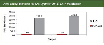 monoclonal-anti-acetyl-histone monoclonal-anti-acetyl-histone