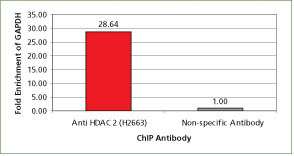 monoclonal-anti-histone monoclonal-anti-histone