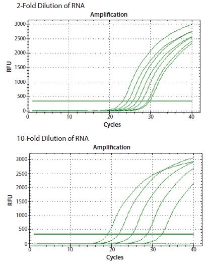 ReadyScript® RT reagent was used to reverse transcribe total RNA from a 2-fold and a 10-fold serial dilution. ReadyScript® RT reagent was used to reverse transcribe total RNA from a 2-fold and a 10-fold serial dilution.