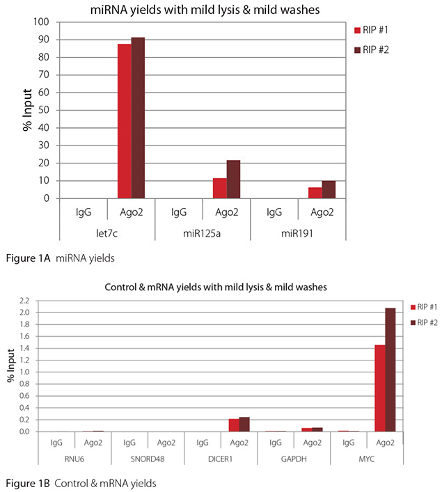 温和裂解 + 温和洗涤下的 Ago2 RIP 的 RT-qPCR 结果 温和裂解 + 温和洗涤下的 Ago2 RIP 的 RT-qPCR 结果