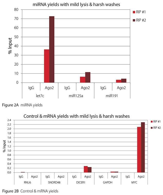 温和裂解 + 苛性洗涤下的 Ago2 RIP 的 RT-qPCR 结果 温和裂解 + 苛性洗涤下的 Ago2 RIP 的 RT-qPCR 结果