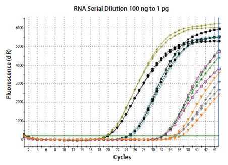 Total RNA was diluted through 100-fold and reverse transcribed using two-step random priming; two independent RT reactions were performed. β-actin was detected in duplicate qPCRs for each RT reaction. Total RNA was diluted through 100-fold and reverse transcribed using two-step random priming; two independent RT reactions were performed. β-actin was detected in duplicate qPCRs for each RT reaction.