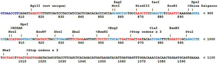 What is a DNA Component? Most SnapFast plasmids